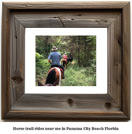 horse trail rides near me in Panama City Beach, Florida